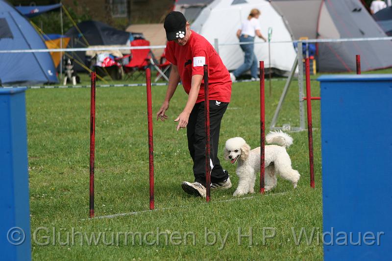 gluehwuermchen08 094 (52).jpg